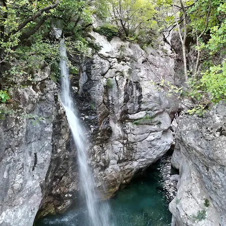 Bujtina Shpjia E Gjyshit *